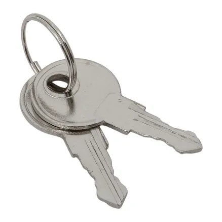 Ключ для замка (арт. 18-20/38-ip31) EKF PROxima (key-1)