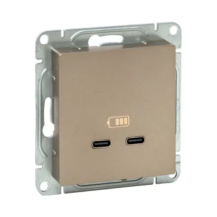 Механизм роз., USB-C - 2шт, шамп., Эпика EKF (UP1-SOC-2USBC)