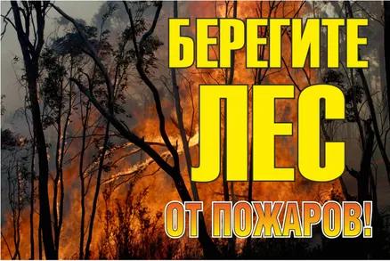 Знак металл "Берегите лес от огня!" (800x1200) EKF (zn-1-02)