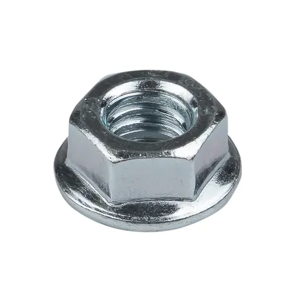 Гайка с фланцем М10 DIN 6923 INOX EKF (gflm10-INOX)