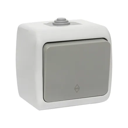 Мурманск Выключатель проходной 1-кл. 10А IP54 сер. EKF (EFV10-025-30-54)