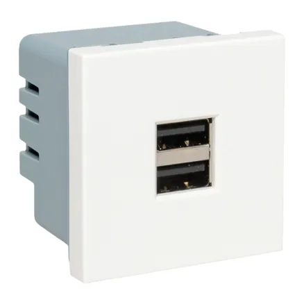 Розетка USB A+A, 2.1А, 2 гнезда, без индикатора EKF (E2MR2-20USB-10)