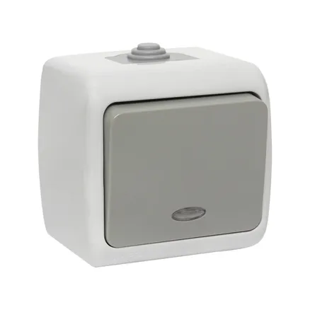 Мурманск Выключатель 1-кл. с инд. 10А IP54 сер.EKF (EFV10-121-30-54)