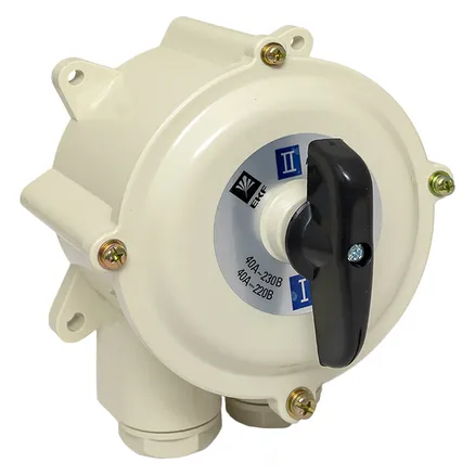 Пакетный переключатель ПП 2-40/Н2 М2 пл. IP56 (pp-2-40-4)