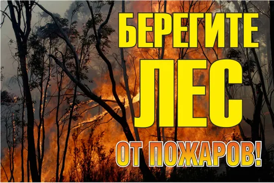 Знак металл "Берегите лес от огня!" (800x1200) EKF PROxima