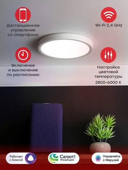 Умный потолочный светильник 230 мм 18 W EKF Connect