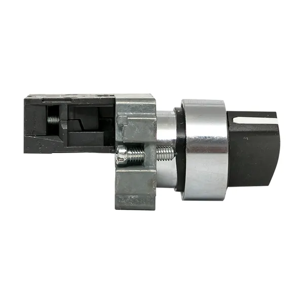 Переключатель BD21 2P короткая ручка NO IP65 EKF PROxima