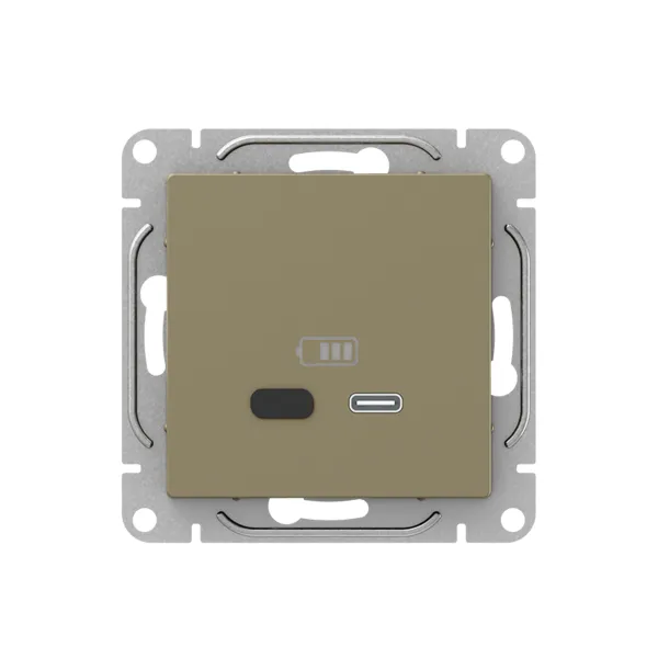 Механизм розетки USB-С, быстрая, шампань Эпика EKF