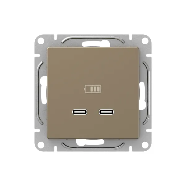 Механизм розетки USB-C - 2шт, шампань Эпика EKF