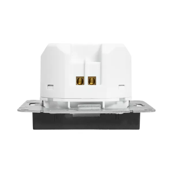 Механизм розетки USB-A+С, чёрный Эпика EKF