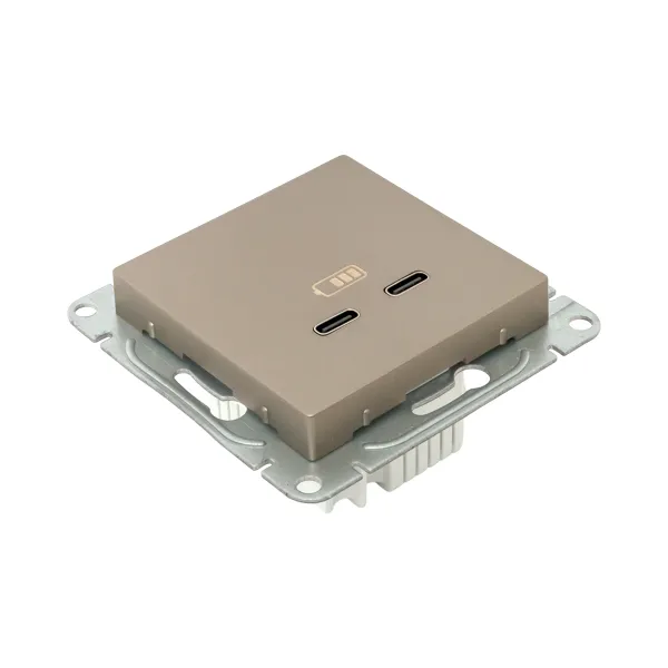 Механизм розетки USB-C - 2шт, шампань Эпика EKF