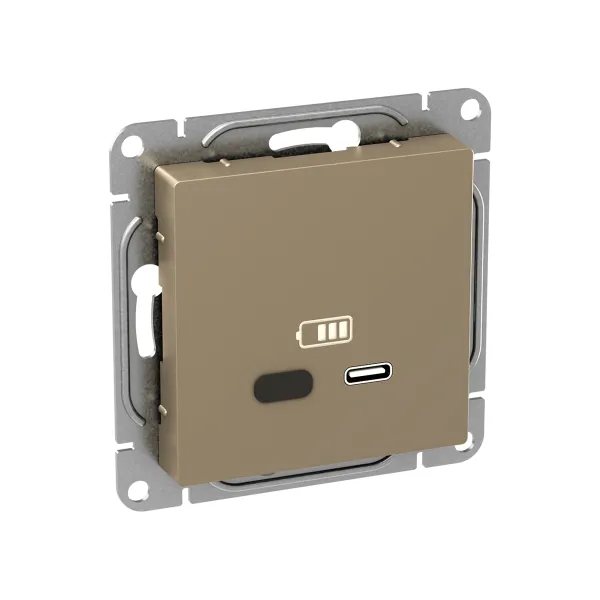 Механизм розетки USB-С, быстрая, шампань Эпика EKF