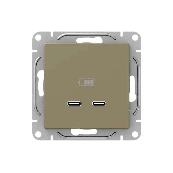 Механизм розетки USB-C - 2шт, шампань Эпика EKF