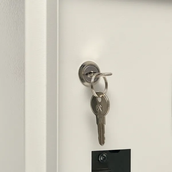 ЩУ-1/1-1 двухдверный (310х300х160) IP54 PROXIMA EKF