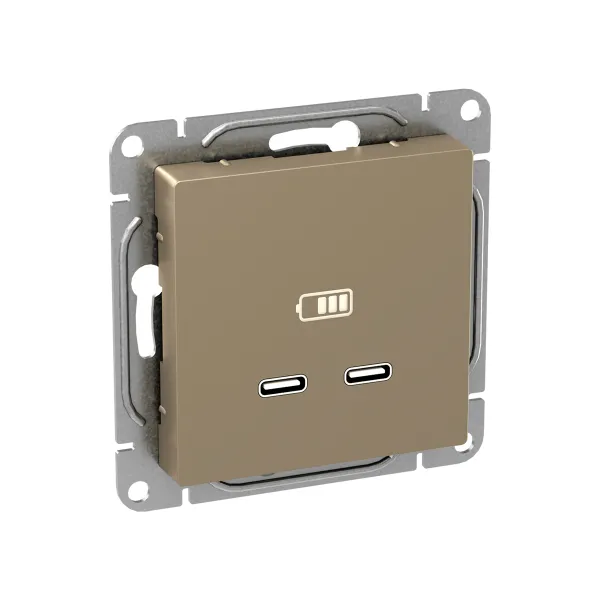 Механизм розетки USB-C - 2шт, шампань Эпика EKF