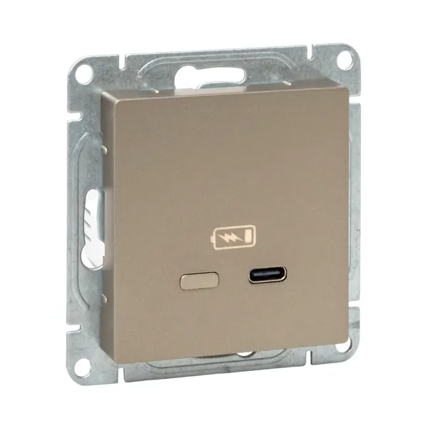 Механизм розетки USB-С, быстрая, шампань Эпика EKF