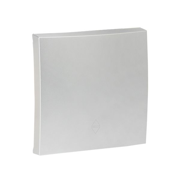 Валенсия лицевая панель выключателя 1-кл. 10А сталь EKF