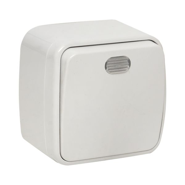 Минск Выключатель 1-клавишный ОП 10А с индикатором белый EKF