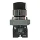 Переключатель BD21 2P короткая ручка NO IP65 EKF PROxima